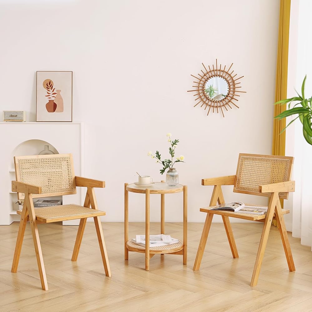 Set of 2 Modern Rattan Dining Chairs with Armrests